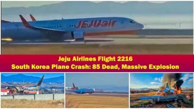 Jeju Airlines Flight 2216 - South Korea Plane Crash