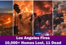 Los Angeles fires