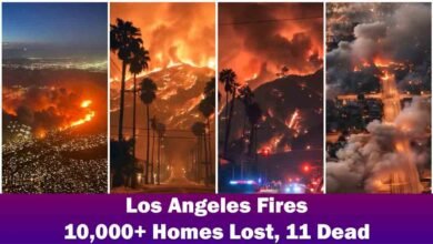 Los Angeles fires